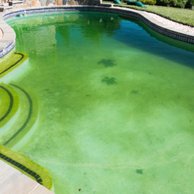 Lagoon Management Company algae prevention